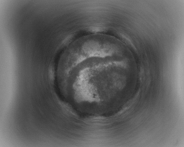 X0000115670210200911191032