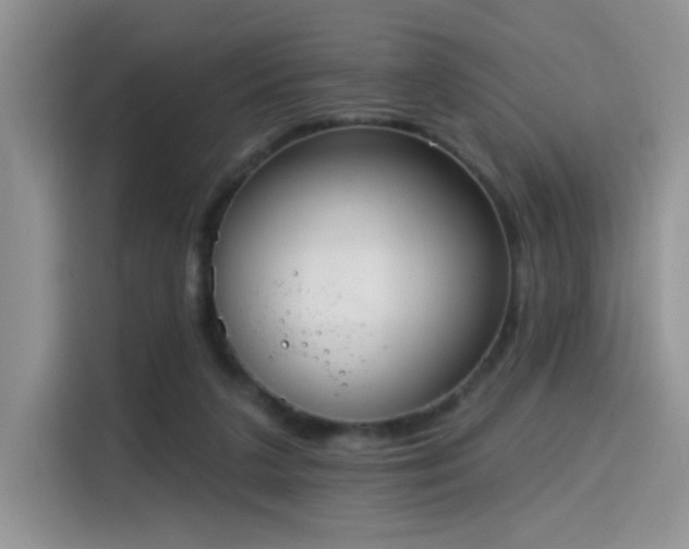 X0000115670211200911191032