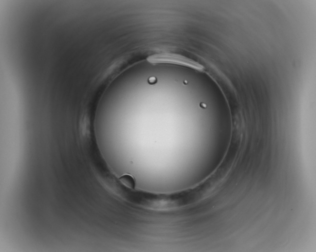 X0000115670212200911191032