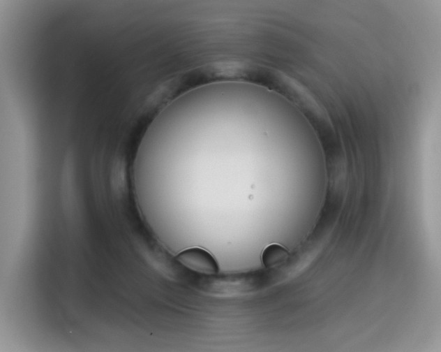 X0000115670213200911191032