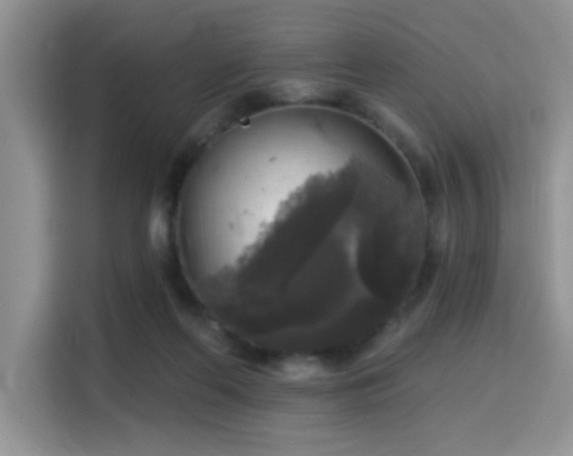 X0000115670214200911191032