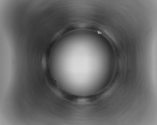 X0000115670216200911191032