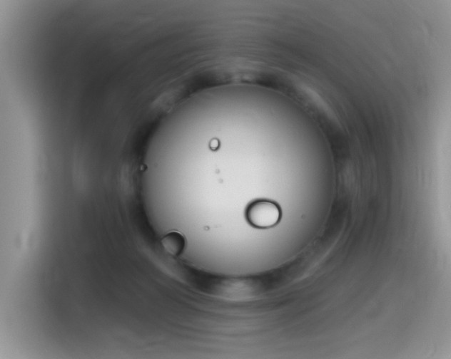 X0000115670218200911191032