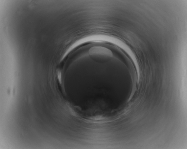 X0000115670219200911191032