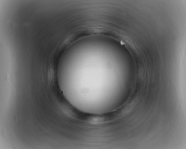 X0000115670220200911191032