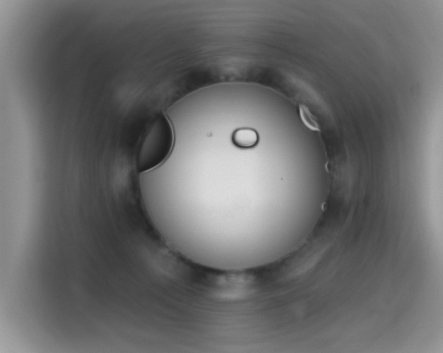 X0000115670225200911191032