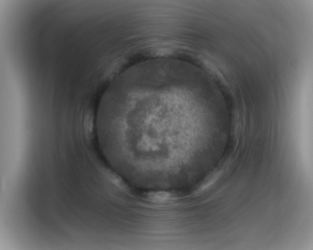 X0000115670230200911191032