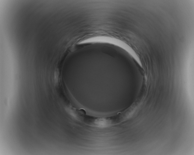 X0000115670231200911191032