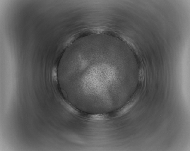 X0000115670238200911191031