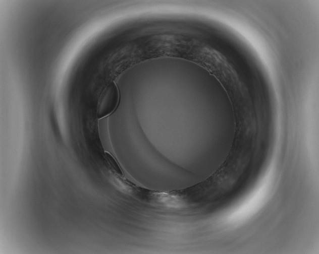X0000115670239200911191031