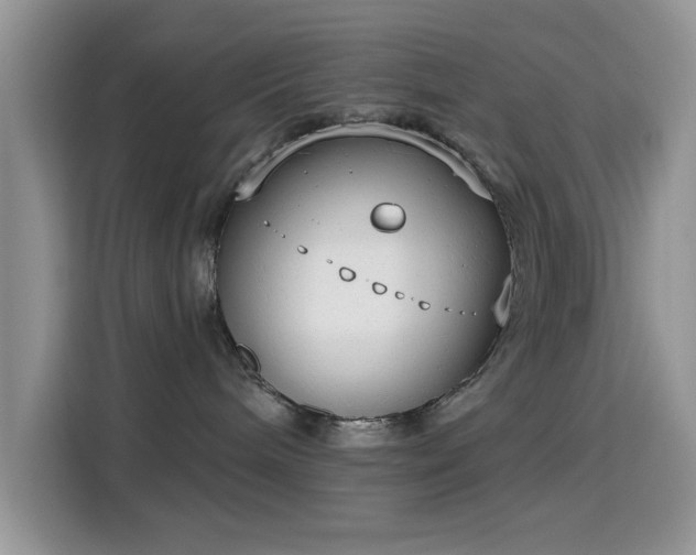 X0000115670240200911191031
