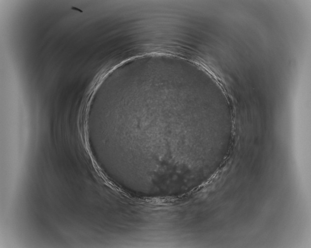 X0000115670241200911191031