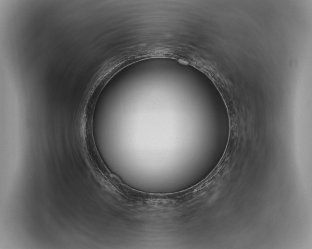 X0000115670242200911191031