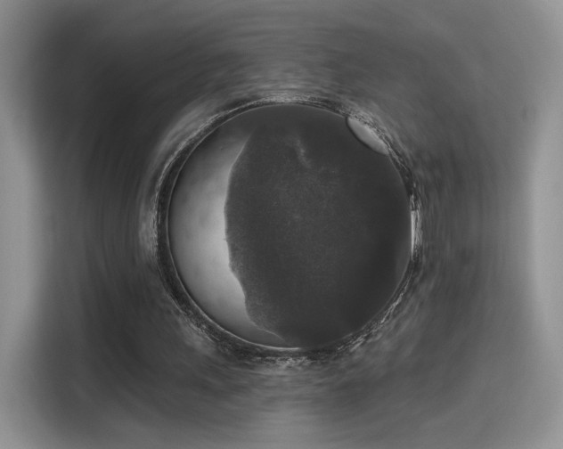 X0000115670243200911191031