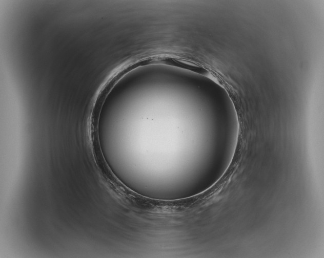 X0000115670244200911191031