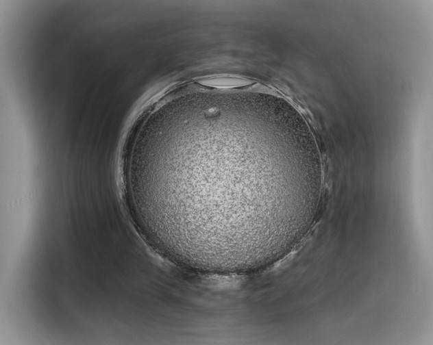 X0000115670245200911191031