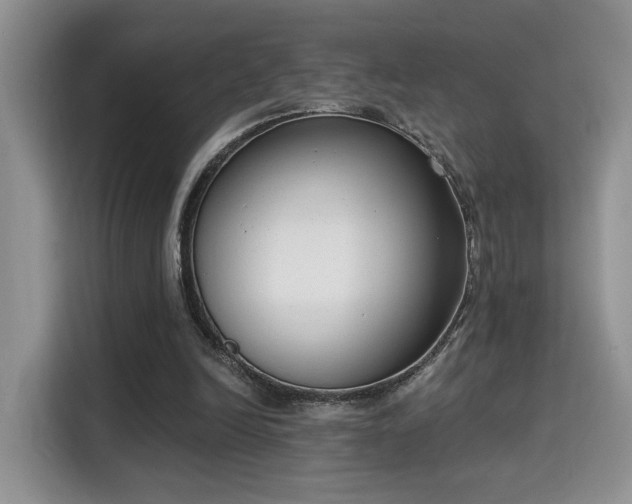 X0000115670246200911191031