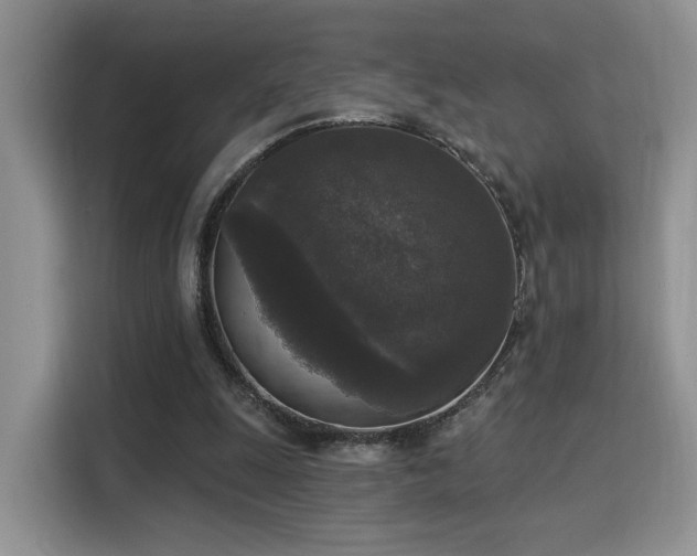 X0000115670247200911191031