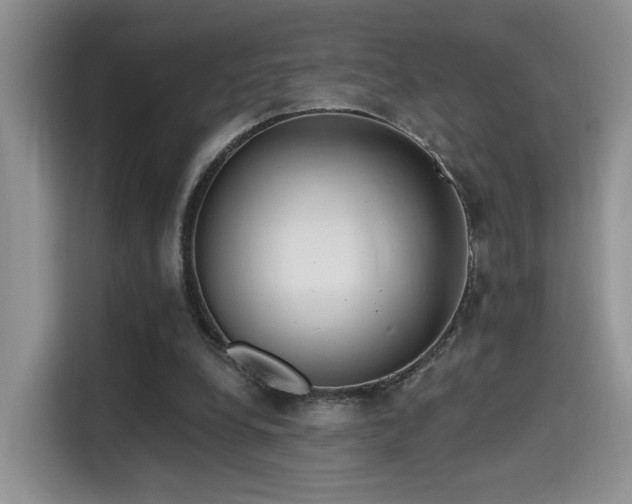 X0000115670248200911191031