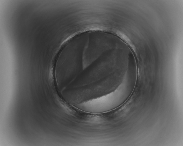 X0000115670249200911191031