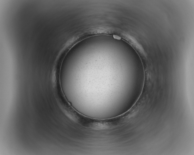 X0000115670250200911191031