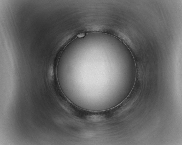 X0000115670251200911191031