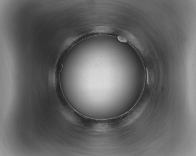 X0000115670252200911191031