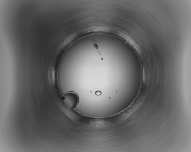 X0000115670253200911191031