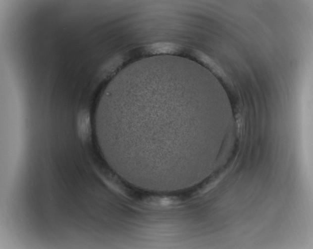 X0000115670254200911191031