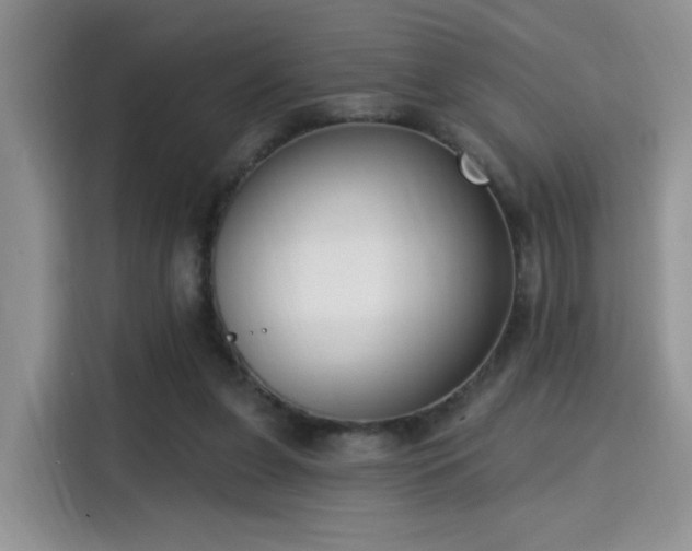 X0000115670255200911191031
