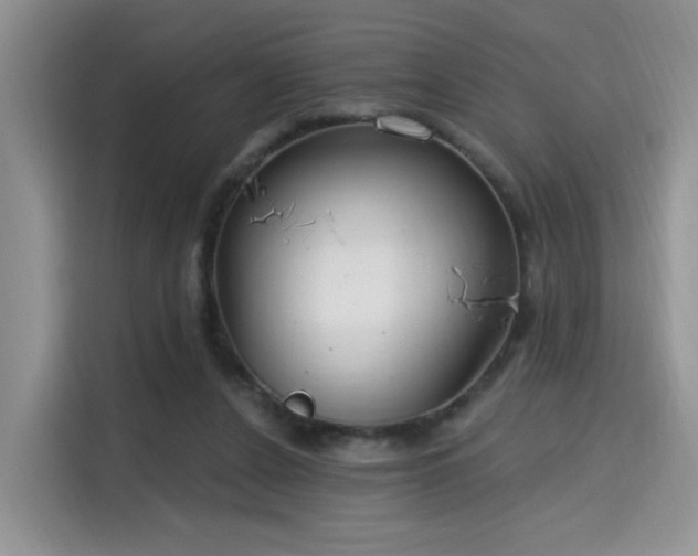 X0000115670256200911191031
