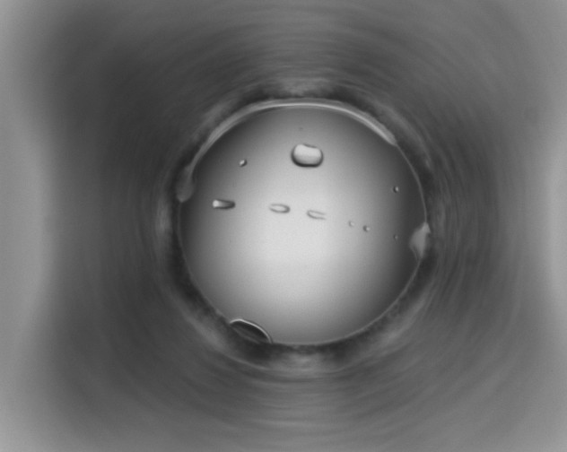 X0000115670260200911191031