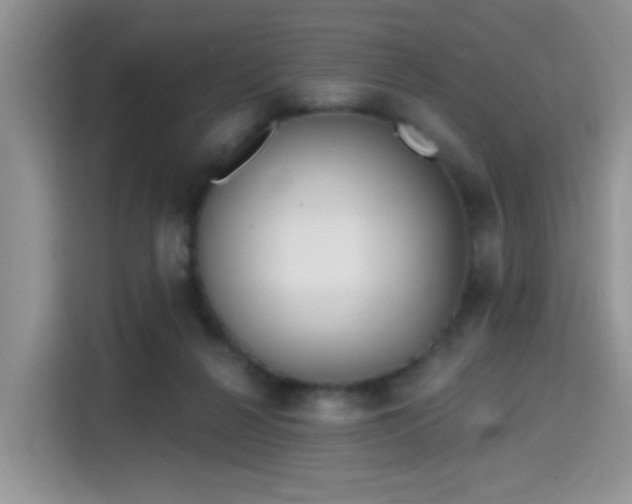 X0000115670264200911191031