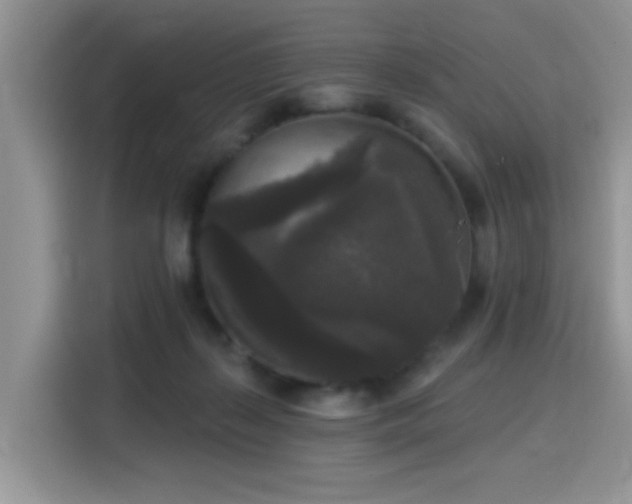 X0000115670267200911191031