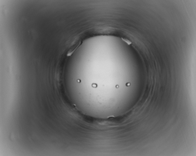 X0000115670268200911191031