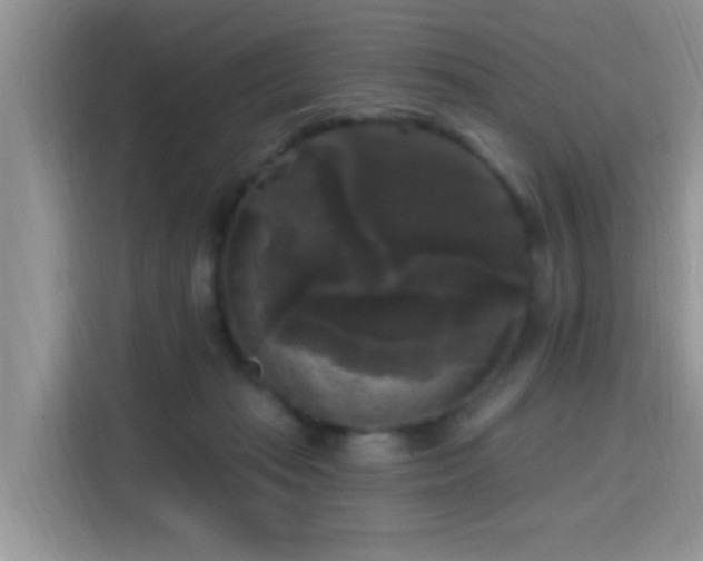 X0000115670269200911191031
