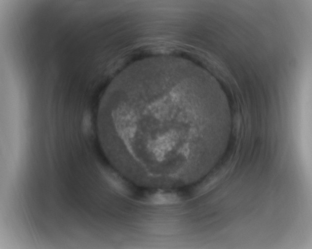 X0000115670270200911191031