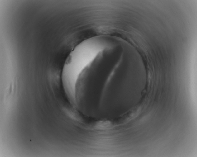 X0000115670271200911191031