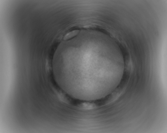 X0000115670272200911191031