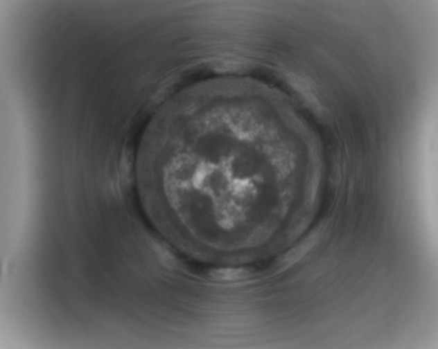 X0000115670273200911191031