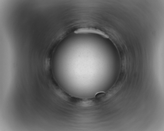 X0000115670278200911191031