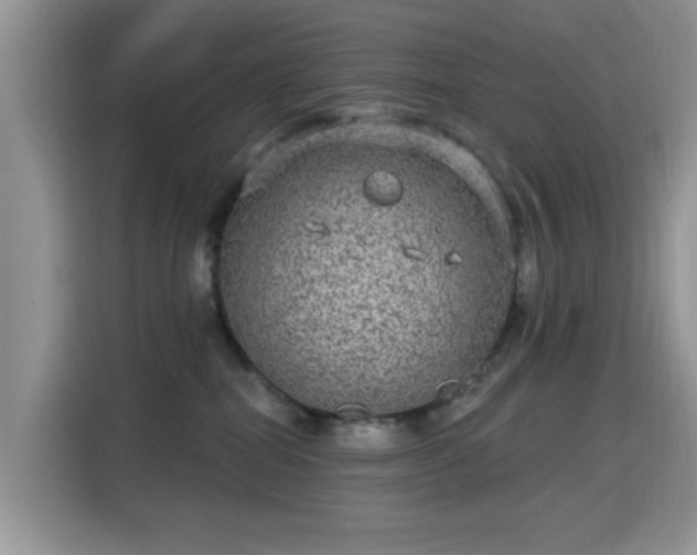X0000115670282200911191031