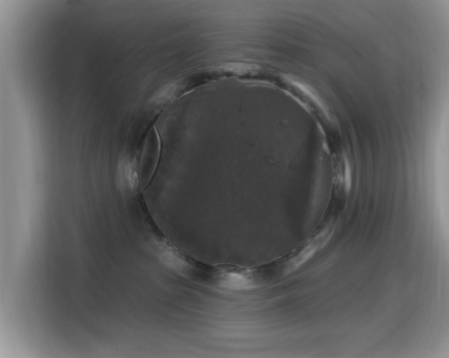 X0000115670285200911191031