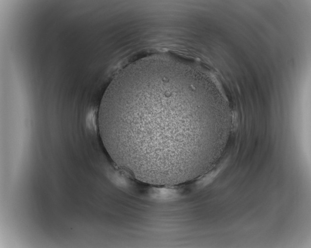 X0000115670286200911191031