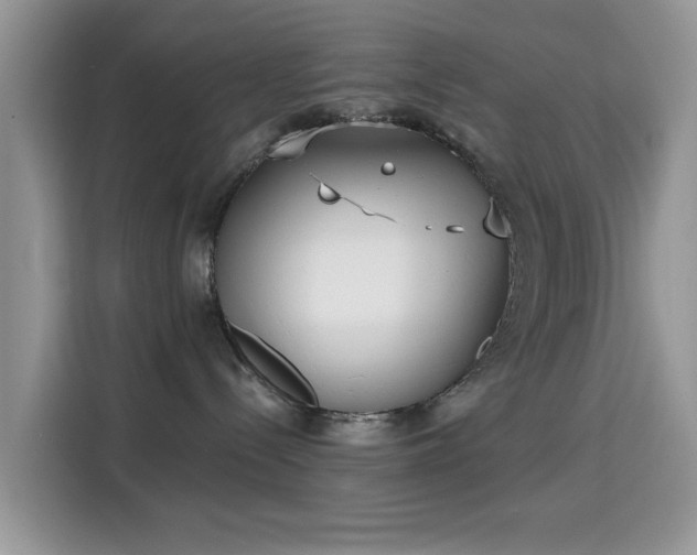X0000115670288200911191031