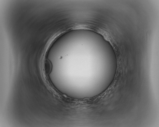 X0000115670289200911191031