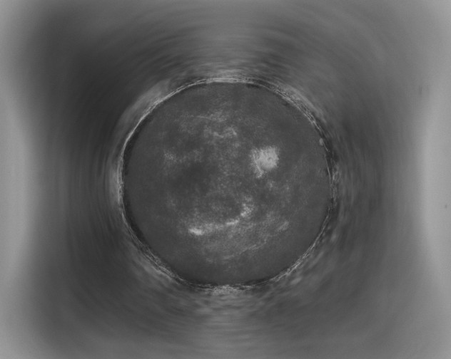 X0000115670290200911191031