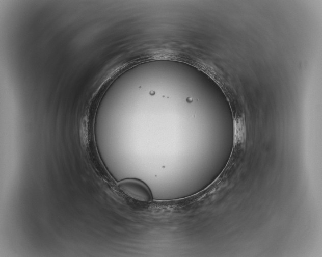 X0000115670291200911191031