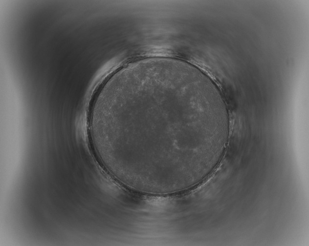 X0000115670293200911191031