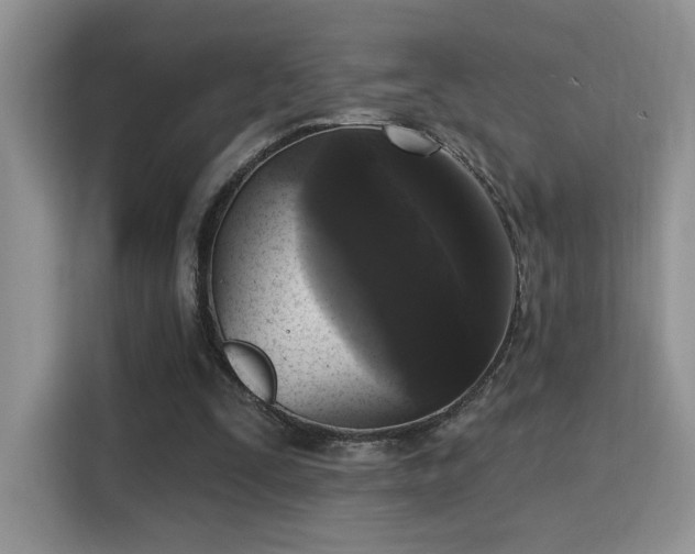 X0000115670295200911191031
